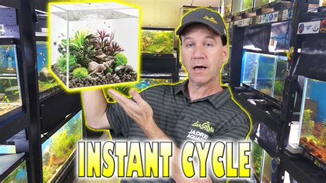how to quickly cycle an aquarium